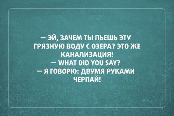 Задорные шутки с сарказмом 
