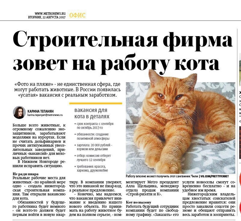 Доброжелательные новости, которые мы заслуживаем животные, интересное, новости, фотоприкол