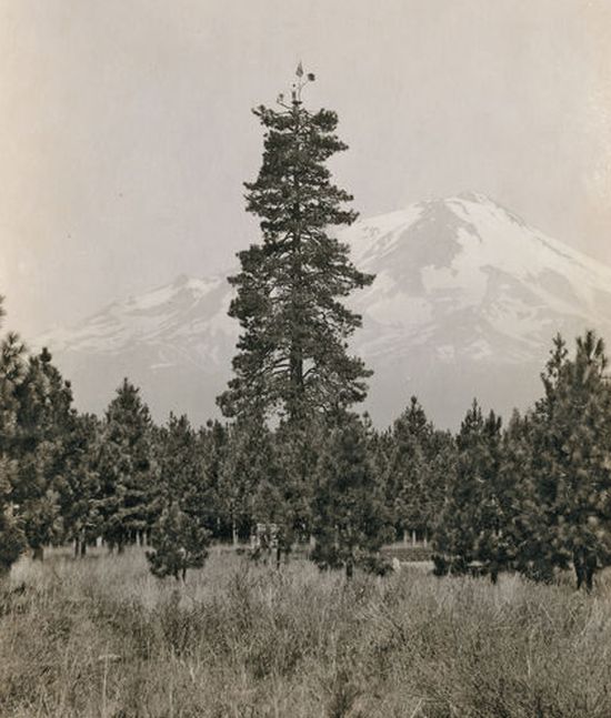 Подборка редких фотографий со всего мира. Часть 14 (30 фото)