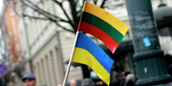 В Вильнюсе на акцию в поддержку Украины  вышло пять человек