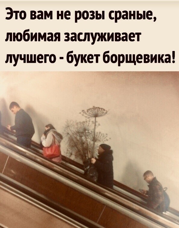 Шуточки которые скрасят ваш день! 