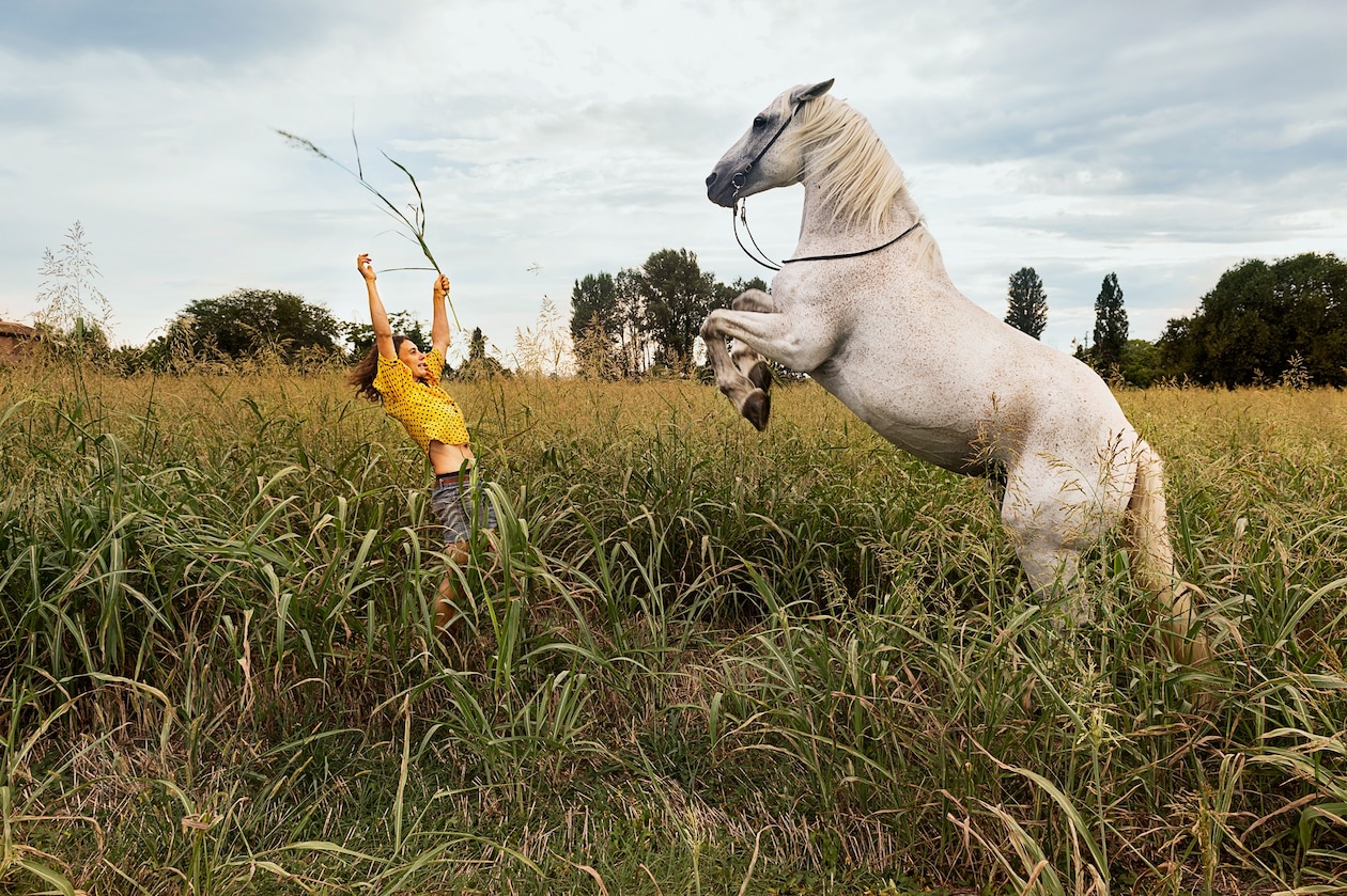 Фотография женщины, тренирующей свою белую лошадь в поле.