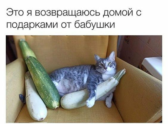 Подборка лучших картинок Подборка лучших картинок