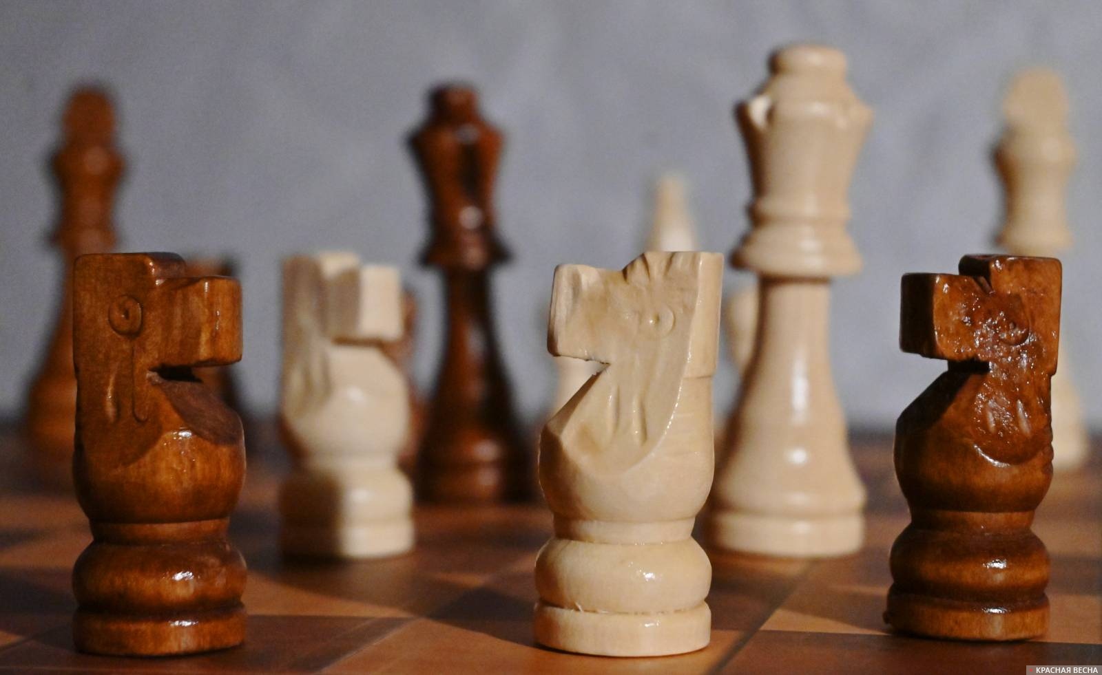 Сыгран девятый тур международного шахматного турнира в Минске