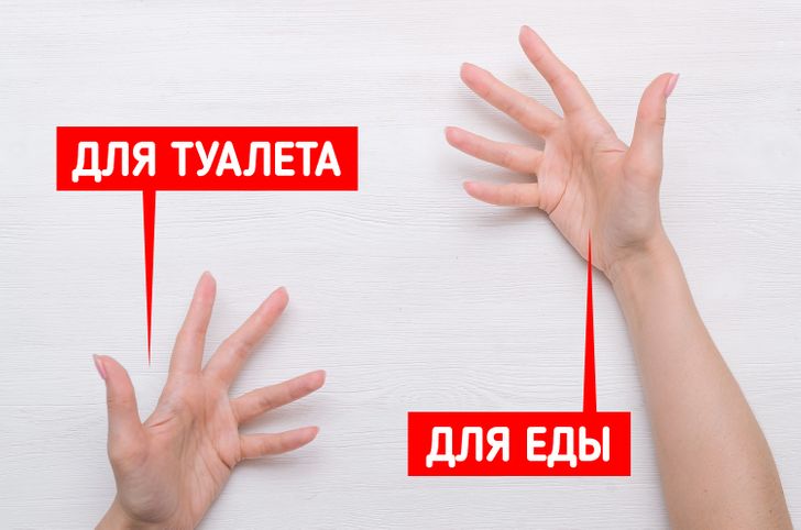 7 стран с необычными туалетными традициями и привычками 7 стран с необычными туалетными традициями и привычками