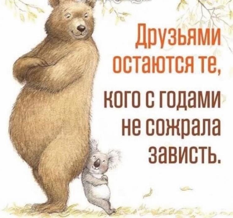 Картинки волков, открытки завистникам