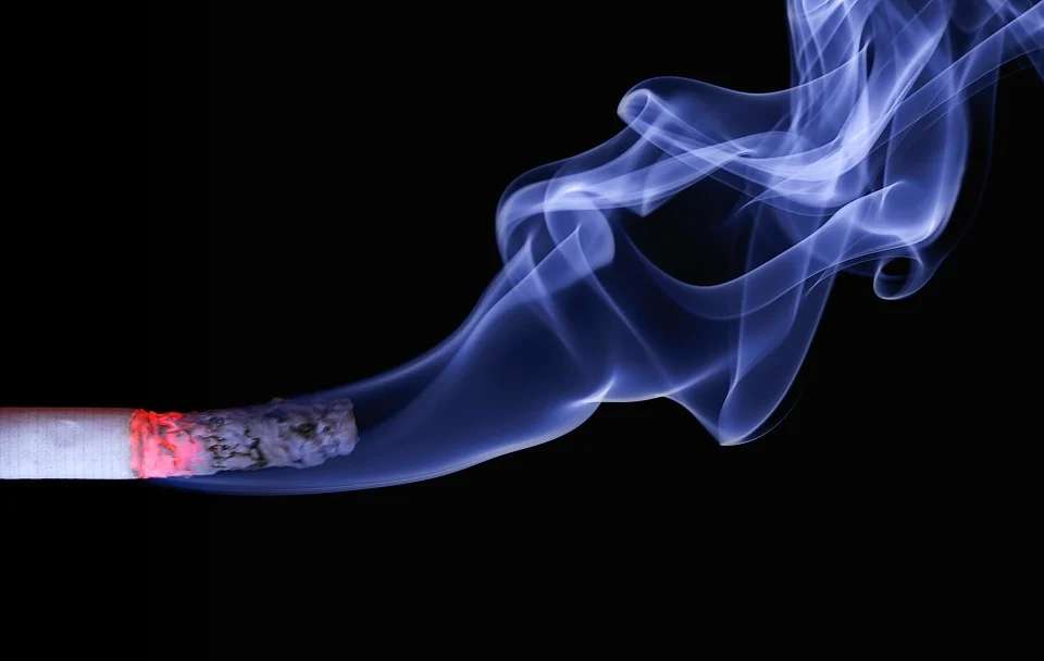 Мужчина из Саратовской области забыл затушить сигарету и заживо сгорел в собственном доме Происшествия