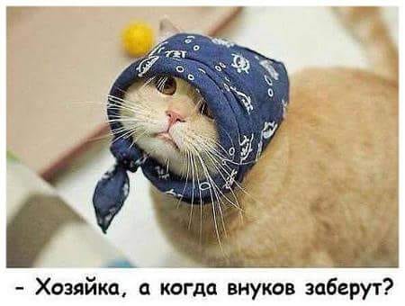 Рано или поздно дети последуют вашему примеру, а не вашим советам Рано или поздно дети последуют вашему примеру, а не вашим советам демотиваторы,приколы,Хохмы-байки,юмор