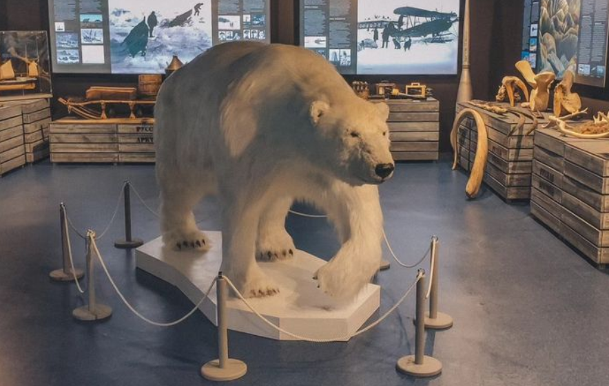 В Архангелльске работает Арктическое посольство