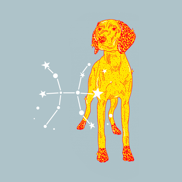 рыбы рожденные в год собаки. характер людей родившихся в год собаки. собака гороскоп характеристика. рыбы рожденные в год собаки. рыбы рожденные в год собаки.