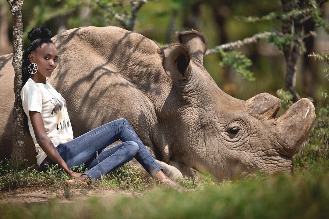 Последний шанс последнего северного белого носорога на Земле путешествие,экология