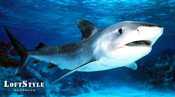 7 интересных и малоизвестных фактов про обычный напильник 