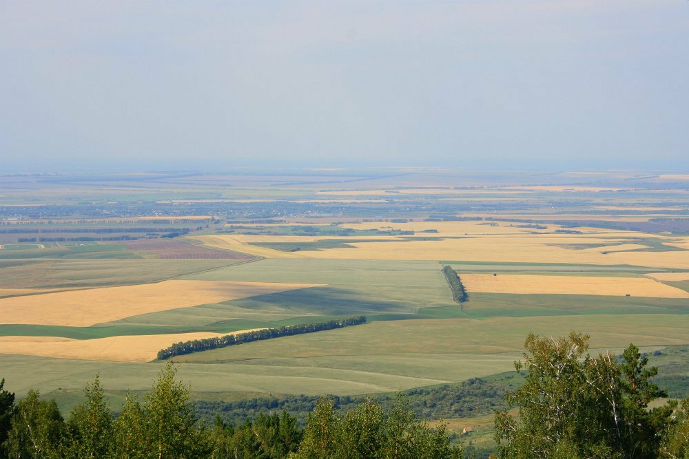 Западная сибирь фото