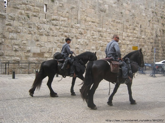 073 (700x525, 359Kb)