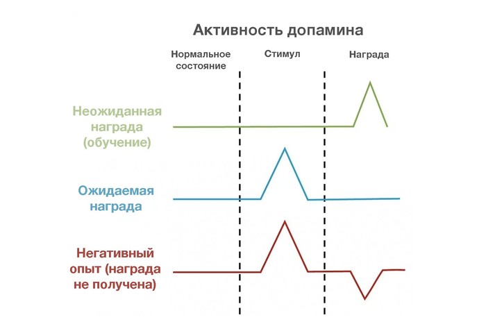 Как алкоголь влияет на мозг? Алкоголь, Мозг, Наука, Биология, Химия, Видео, Гифка, Длиннопост