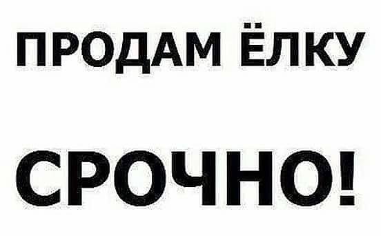 Сидят Абрам и Хаим (пардон) на унитазе и вдруг один спрашивает другого...