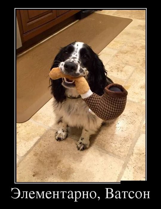 Подборка черноватого юмора в демотиваторах 