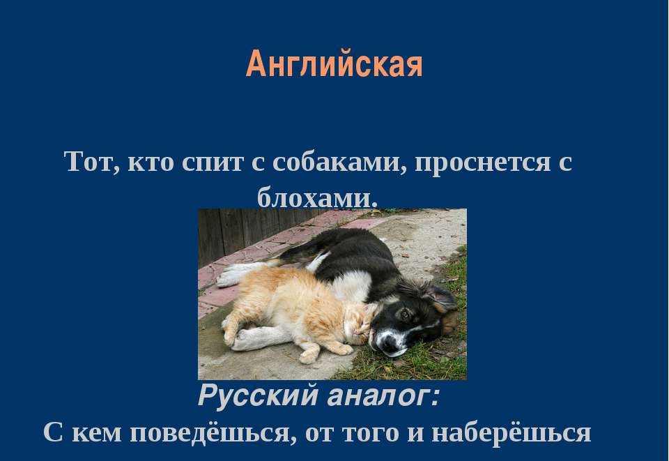 С кем поведешься от того и наберешься рисунок. Поговорка с кем поведешься от того и наберешься. С кем поведешься пословица. Нахожусь в прекрасном возрасте когда дурь. С кем наберешься от того.