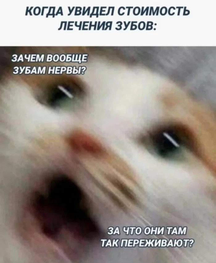 Интернет мемы на утро пятницы и Старая Зеландия 
