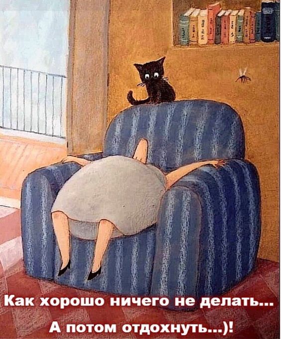 Задорные шутки с сарказмом 