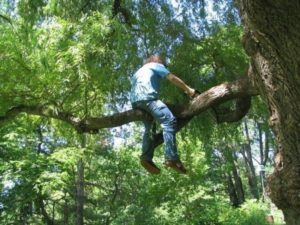 15 отмороженных камикадзе, которые на этот раз отделались лёгким испугом 15 отмороженных камикадзе, которые на этот раз отделались лёгким испугом авто и мото,автоновости