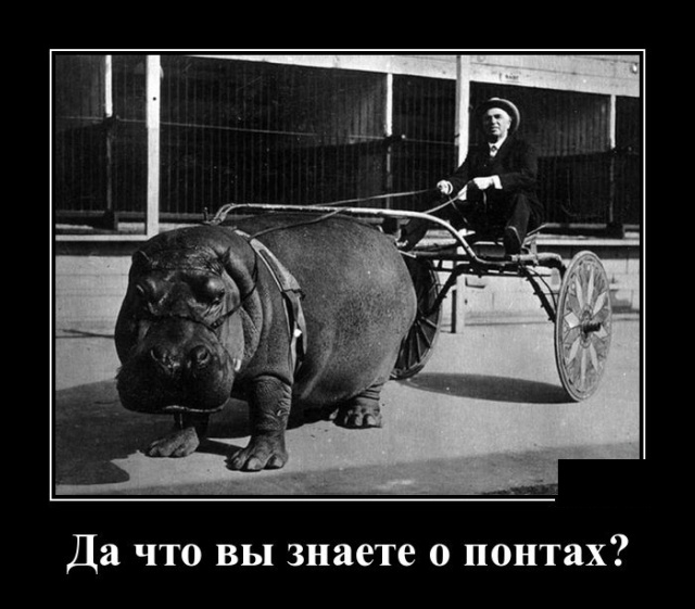 В городок приехал богатый турист.. В городок приехал богатый турист.. анекдоты,веселье,демотиваторы,приколы,смех,юмор