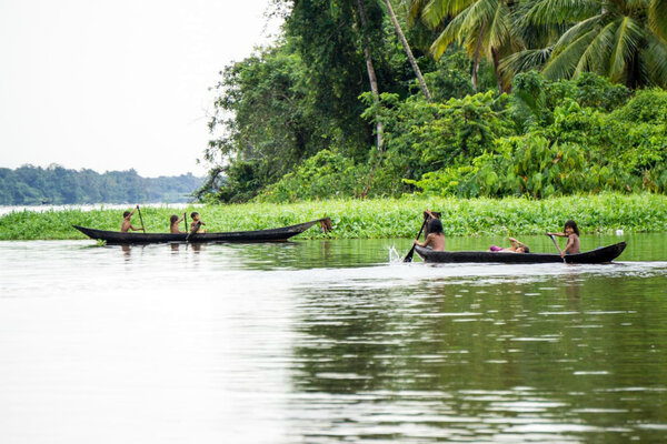 Варао: считают до пяти, плавают с пираньями и не желают ходить в школу Варао: считают до пяти, плавают с пираньями и не желают ходить в школу