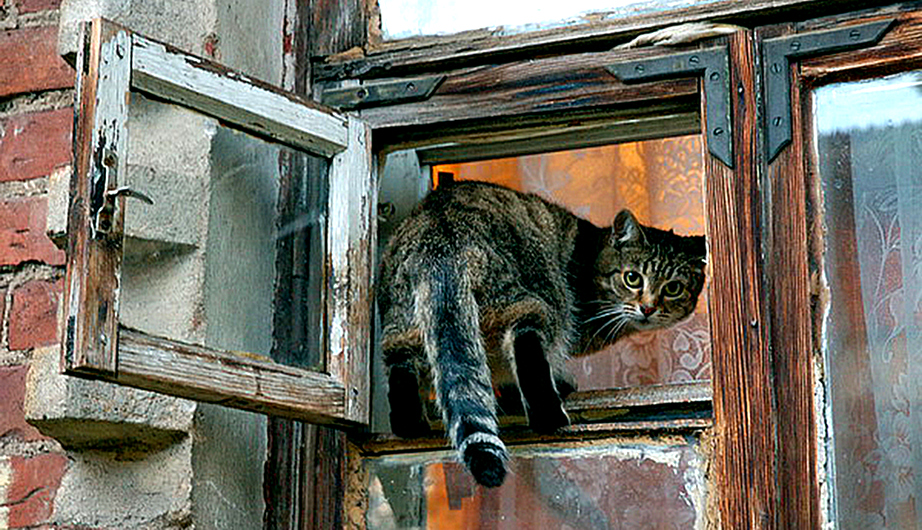 Аббат и вор