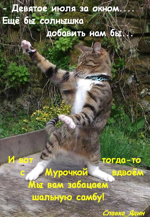 ДЕВЯТОЕ КОТЮЛЯ демотиваторы,животные,позитив,приколы,Смешные животные