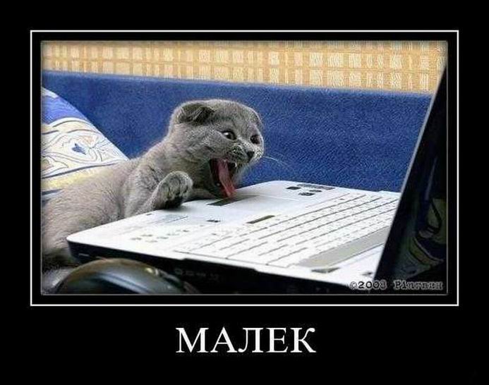 Демотиваторы выходного дня Демотиваторы выходного дня