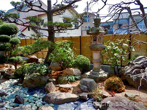 японский сад на даче фото (8)