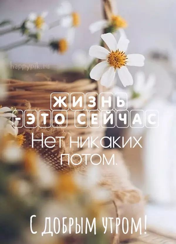 Свежая подборка анекдотов, шуточек и забавных историй – для вас