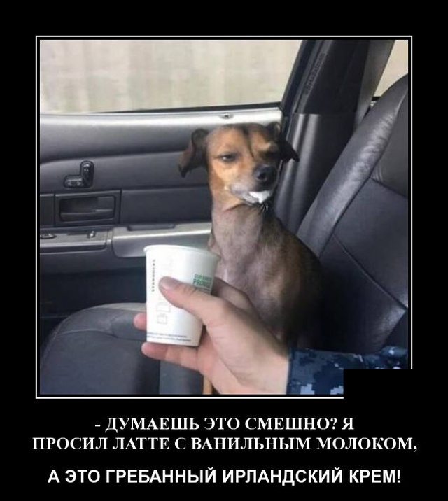 Подборка интересных и веселых картинок №66 демотиваиторы