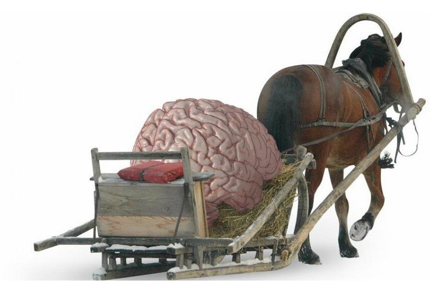 Болонская система, давай, до свидания! Болонская система, давай, до свидания!