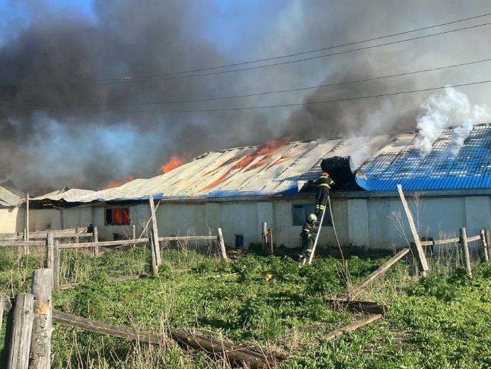 Во Владимирской области ликвидирован крупный пожар на гусиной ферме