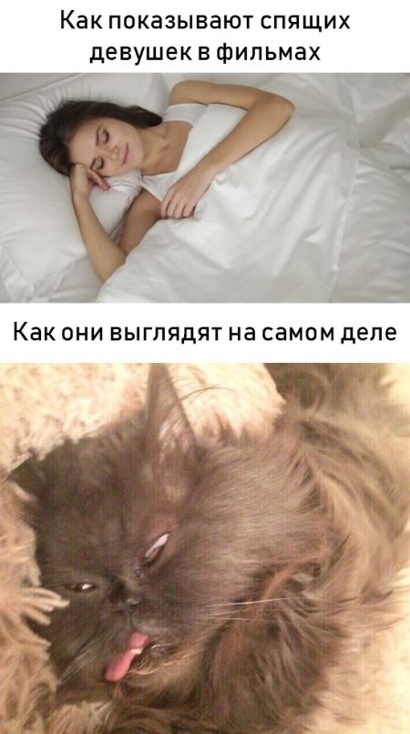 Позитив и приколы Позитив и приколы