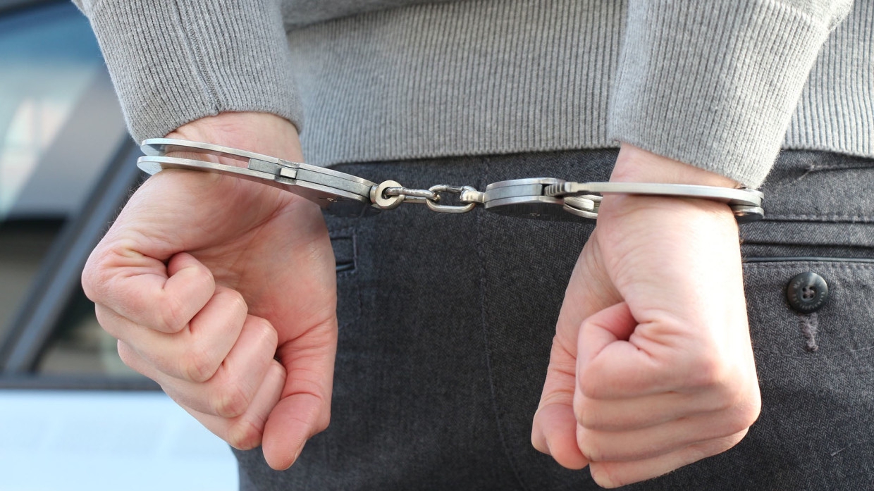 Московская полиция поймала похитителя картины за 15 млн рублей