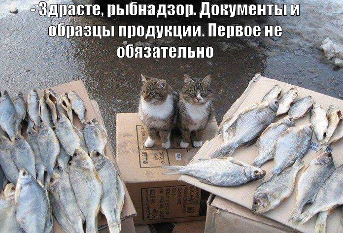 Смешные эксклюзивные картинки Смешные эксклюзивные картинки картинки,прикол,юмор