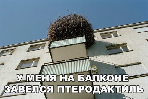 Прикольные фотомемы на Бугаге (21 шт)