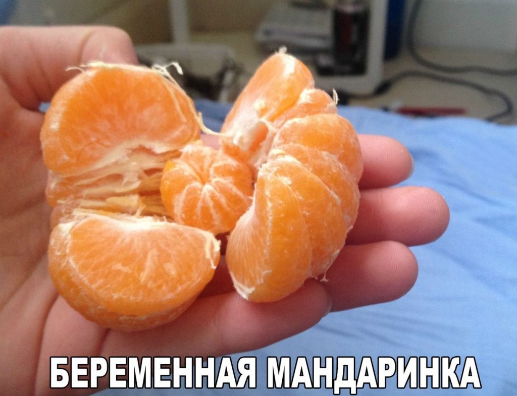 Забавные, смешные и классные фотографии с надписями со смыслом Забавные, смешные и классные фотографии с надписями со смыслом картинки с надписями,красивые фотографии,прикольные картинки,смешные картинки,смешные комментарии