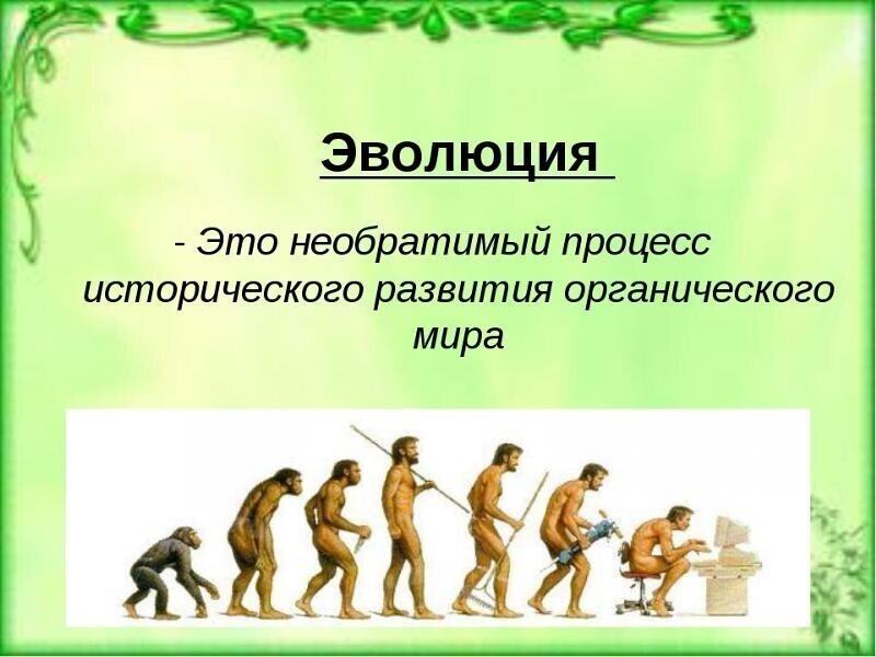 Как работает естественный отбор. Эксперимент с рыбками естественный отбор,природа,эволюция  ,эксперименты