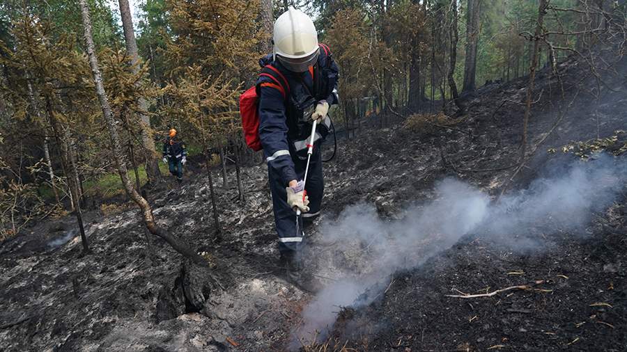 В около 25 тыс. населенных пунктов РФ выявили угрозу перехода огня с лесов