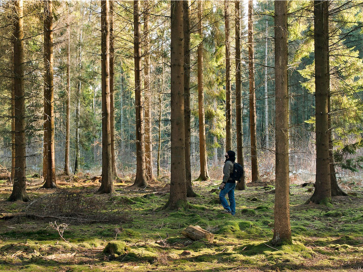 Фотография: 23 неизвестных факта о нашем мире, которые заставят вас задуматься №5 - BigPicture.ru