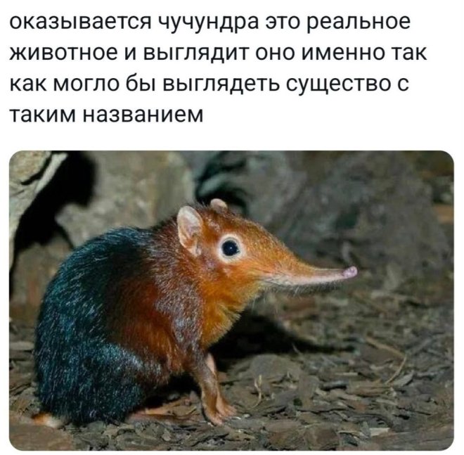 Отдых - это наркотик: как только начинаешь работать, тут же начинается ломка Отдых - это наркотик: как только начинаешь работать, тут же начинается ломка