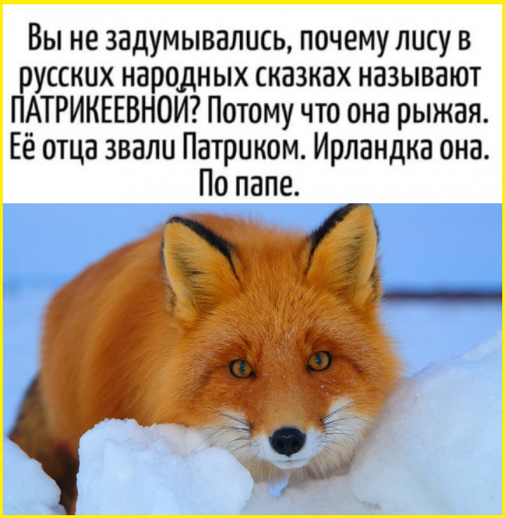 Юмор для тех, кто уже повзрослел и понял, что «маркетплейс» — это ловушка для зарплаты Юмор для тех, кто уже повзрослел и понял, что «маркетплейс» — это ловушка для зарплаты