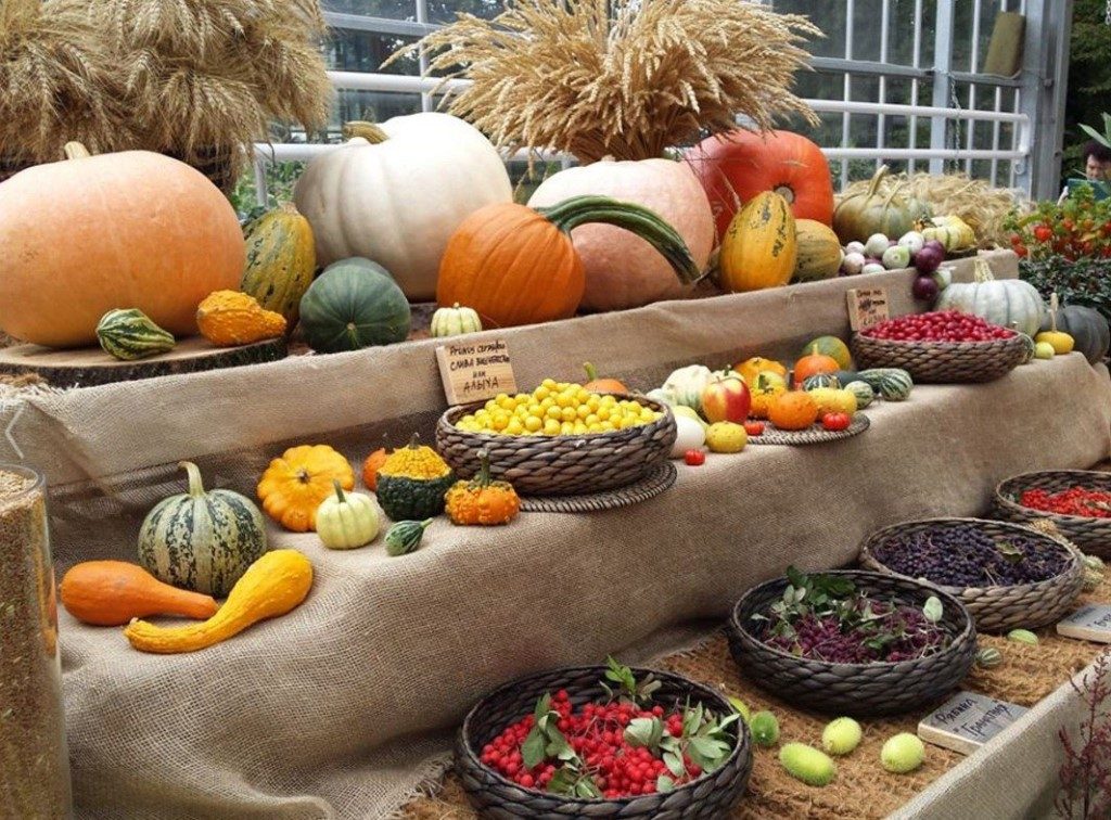 Выставка садоводов. Выставка сельхозпродукции. Ресторан огород москва. Кафе урожай вднх. Кафе урожай вднх.