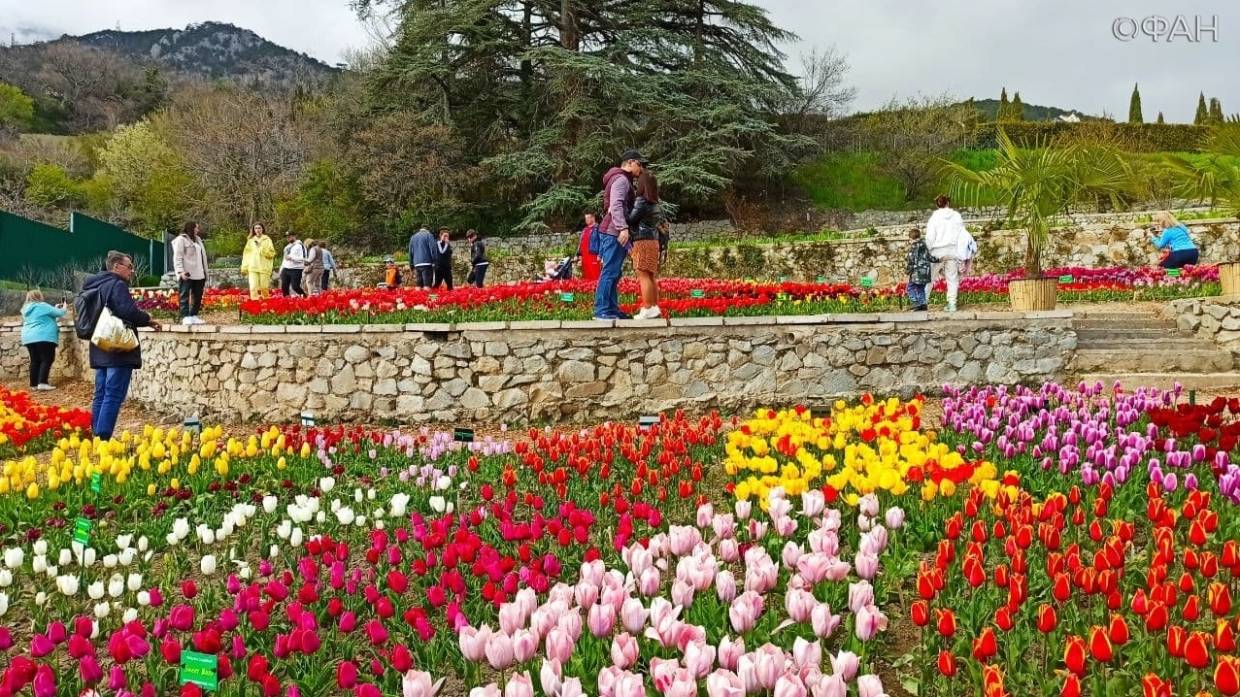 Событийный туризм в Крыму: что полуостров может предложить россиянам Событийный туризм в Крыму: что полуостров может предложить россиянам Общество