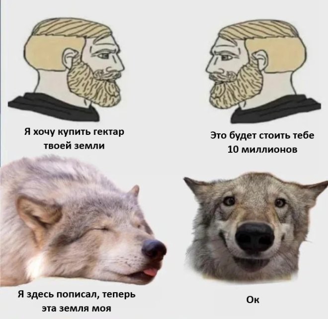 Интернет мемы на пятницу и боевая жена  