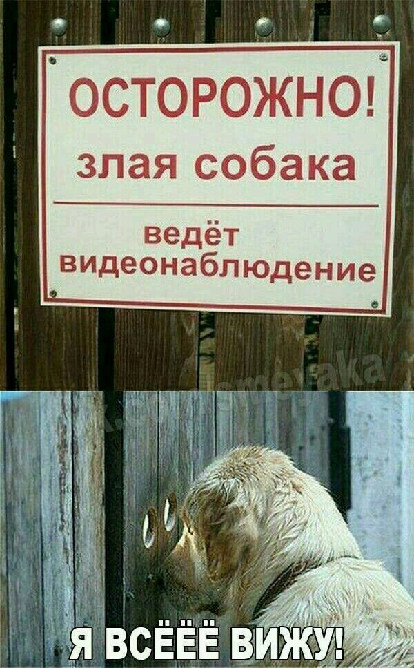 Подборка супер забавных картинок Подборка супер забавных картинок