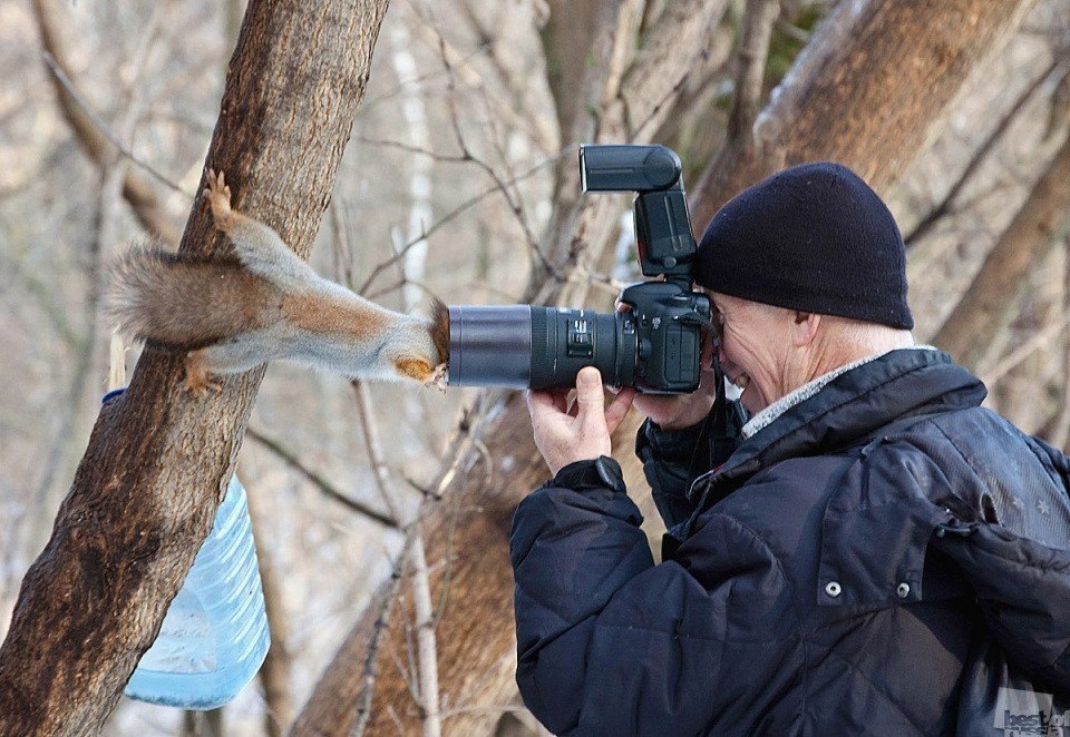 Про любопытных картинки